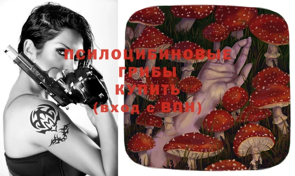 гидра Козельск