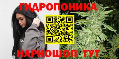 сатива Кимры