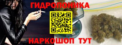 сатива Кимры
