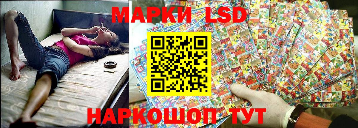 Галлюциногенные грибы Кохма