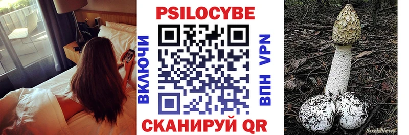 hydra онион  Кохма  Галлюциногенные грибы GOLDEN TEACHER 