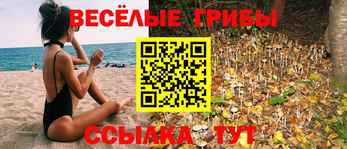 Псилоцибиновые грибы Magic Shrooms Кохма
