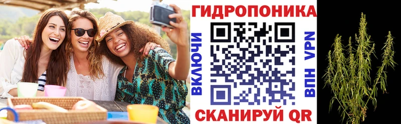 Марихуана Amnesia  купить наркотик  Кохма 