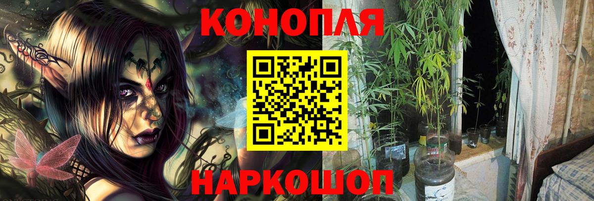 Кохма  Шишки марихуана SATIVA & INDICA  Вход с VPN  МАРИХУАНА сатива  Бошки марихуана план 